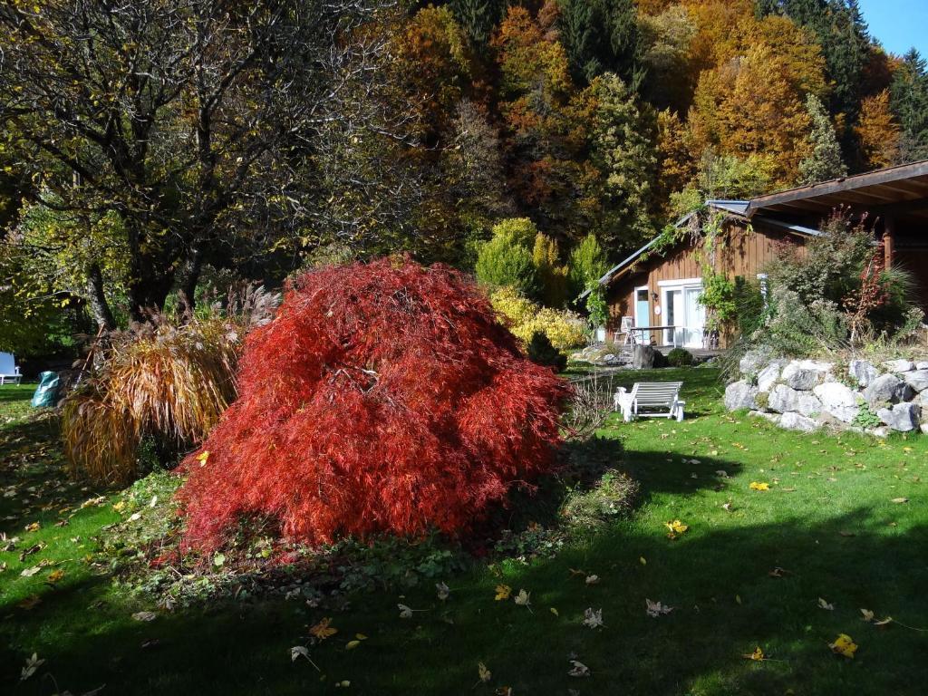 Gaestehaus Buehler Oberstdorf Room photo